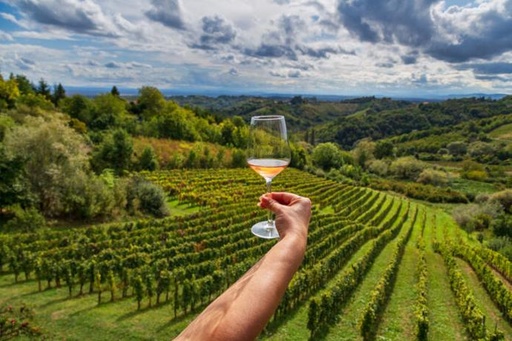 Zagreb Wine tasting experience